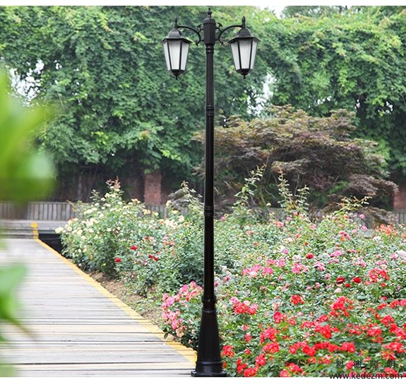 �����Ź۵�