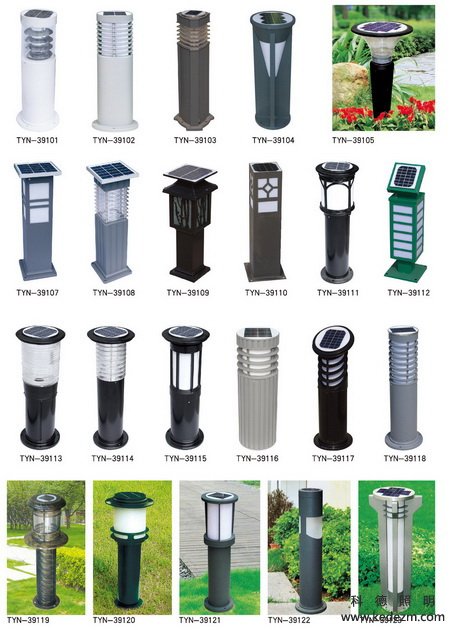 ̫���ܲ�ƺ��